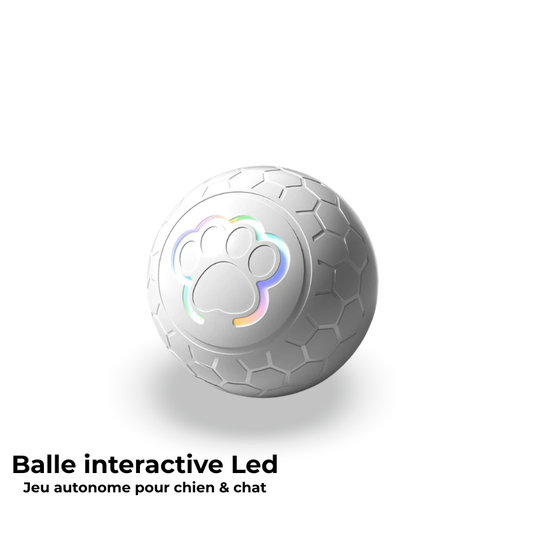 Balle interactive USB pour chien et chat - Jeu autonome & lumières LED