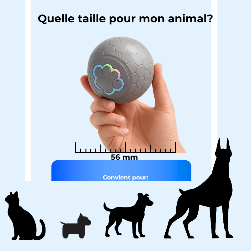 Balle interactive USB pour chien et chat - Jeu autonome & lumières LED