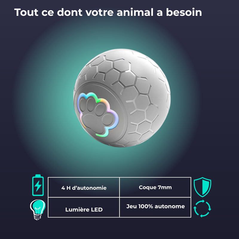 Balle interactive USB pour chien et chat - Jeu autonome & lumières LED