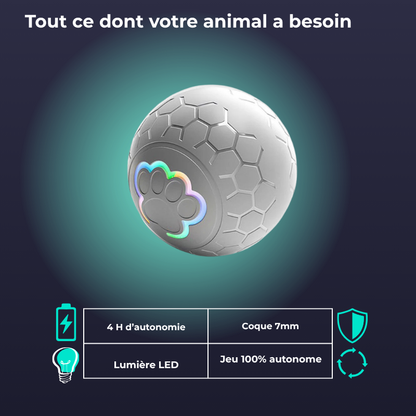 Balle interactive USB pour chien et chat - Jeu autonome & lumières LED