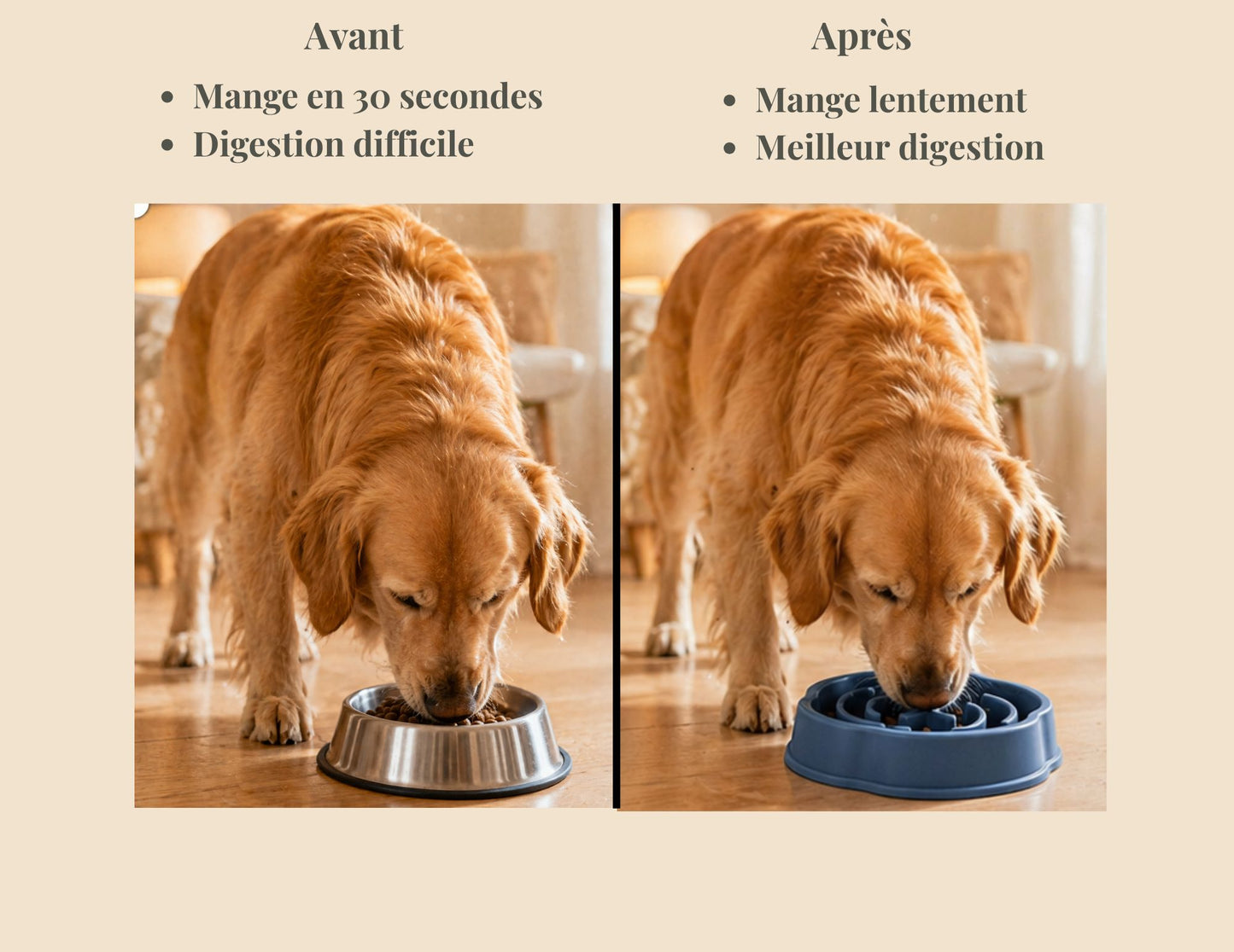 Avant et après avoir manger dans la gamelle anti glouton que nous proposons, image 1 gamelle classic: Mange en 30 secondes et digestion difficile, 2 ème image avec la gamelle anti glouton : Mange lentement et a une meilleur digestion.