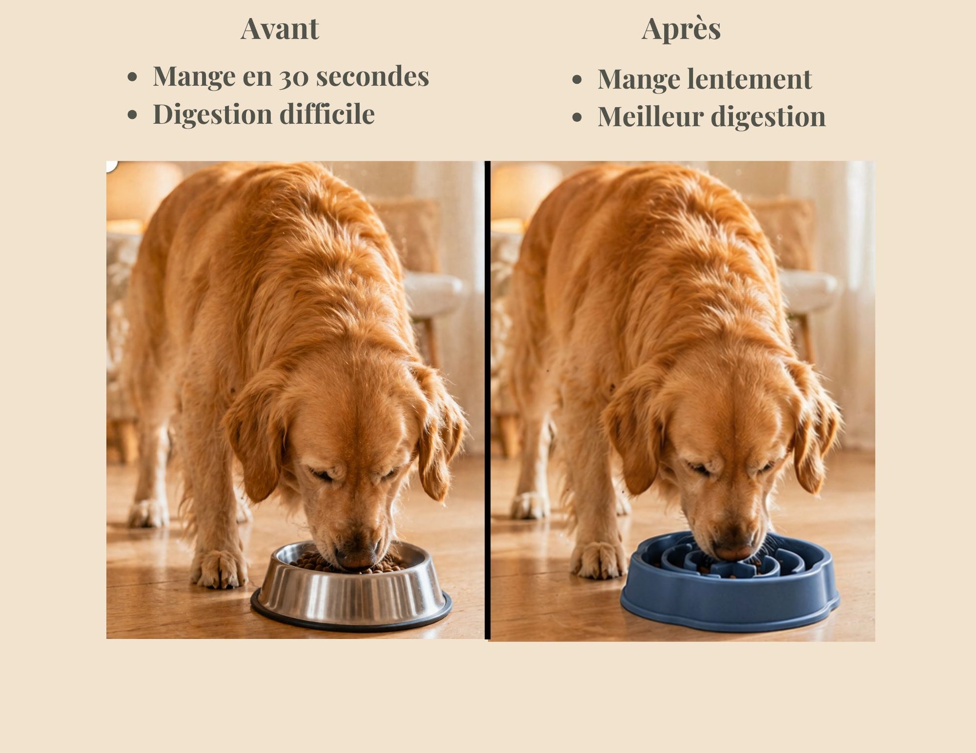 Avant et après avoir manger dans la gamelle anti glouton que nous proposons, image 1 gamelle classic: Mange en 30 secondes et digestion difficile, 2 ème image avec la gamelle anti glouton : Mange lentement et a une meilleur digestion.