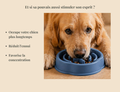 Chien vu de face qui mange dans une gamelle qui régule leurs appétit: occupe votre chien plus longtemps, réduit l'ennui, favorise la concentration.