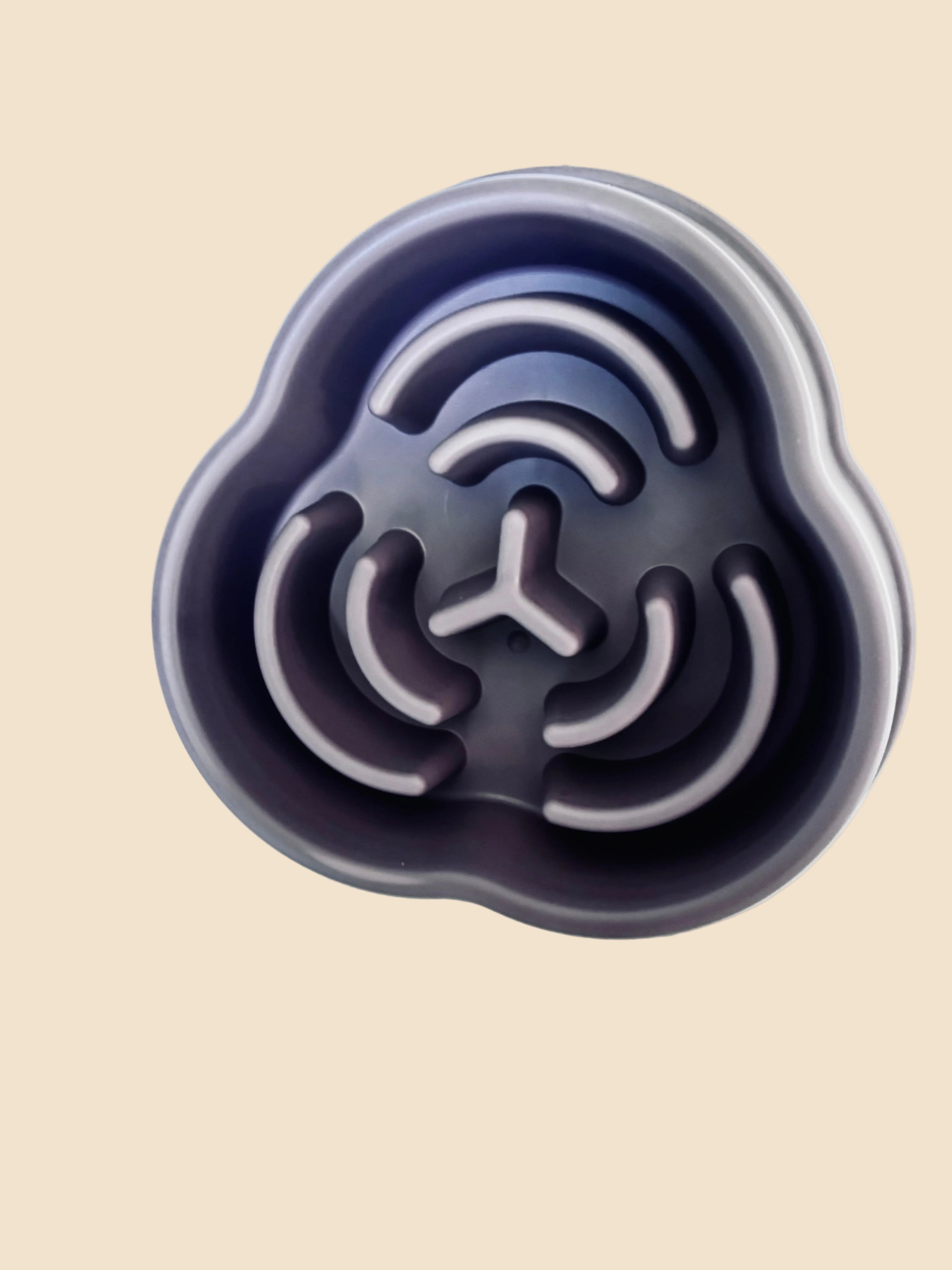 Gamelle anti glouton violette