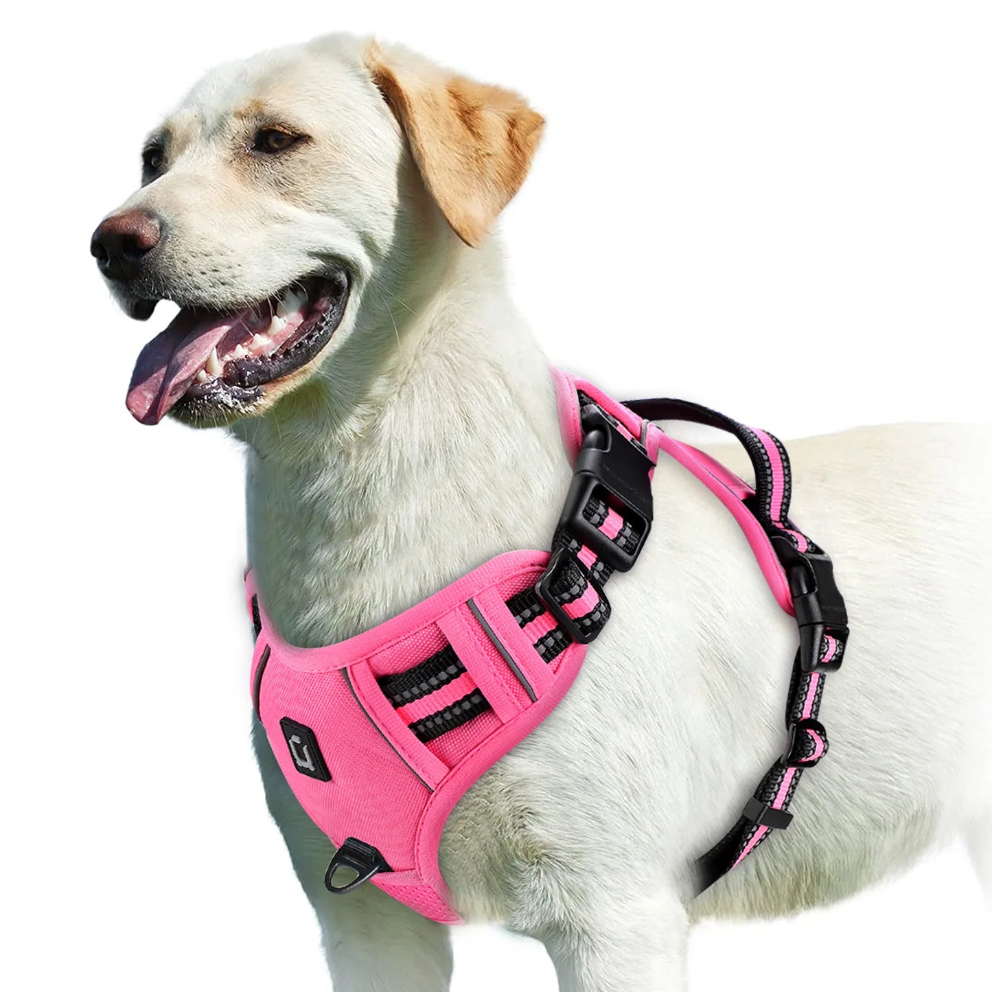 Harnais anti-traction pour chien Confort & contrôle ajustable
