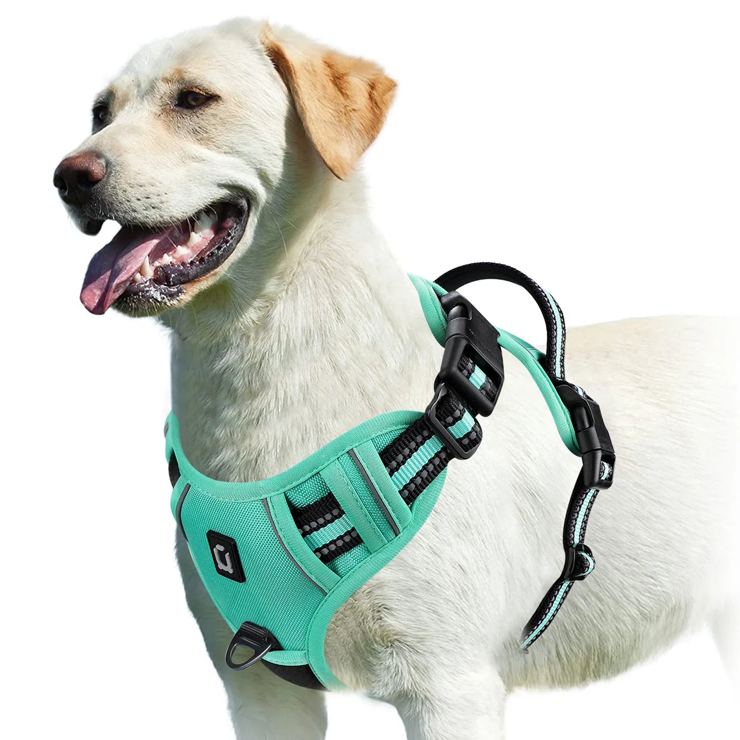 Harnais anti-traction pour chien Confort & contrôle ajustable