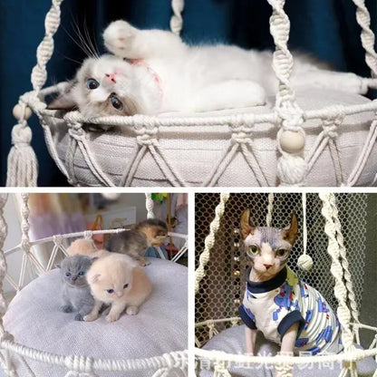 Hamac suspendu pour chat - Coton tressé & confort naturel