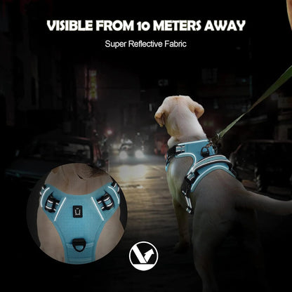 Harnais anti-traction pour chien Confort & contrôle ajustable