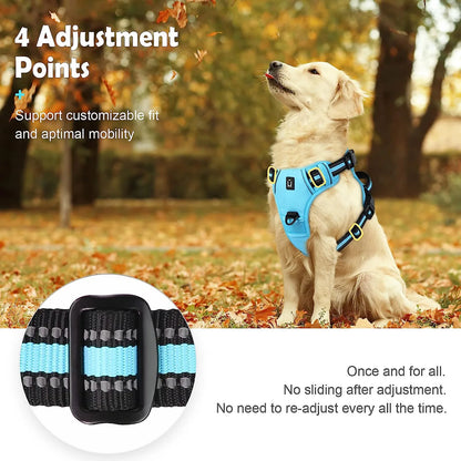 Harnais anti-traction pour chien Confort & contrôle ajustable