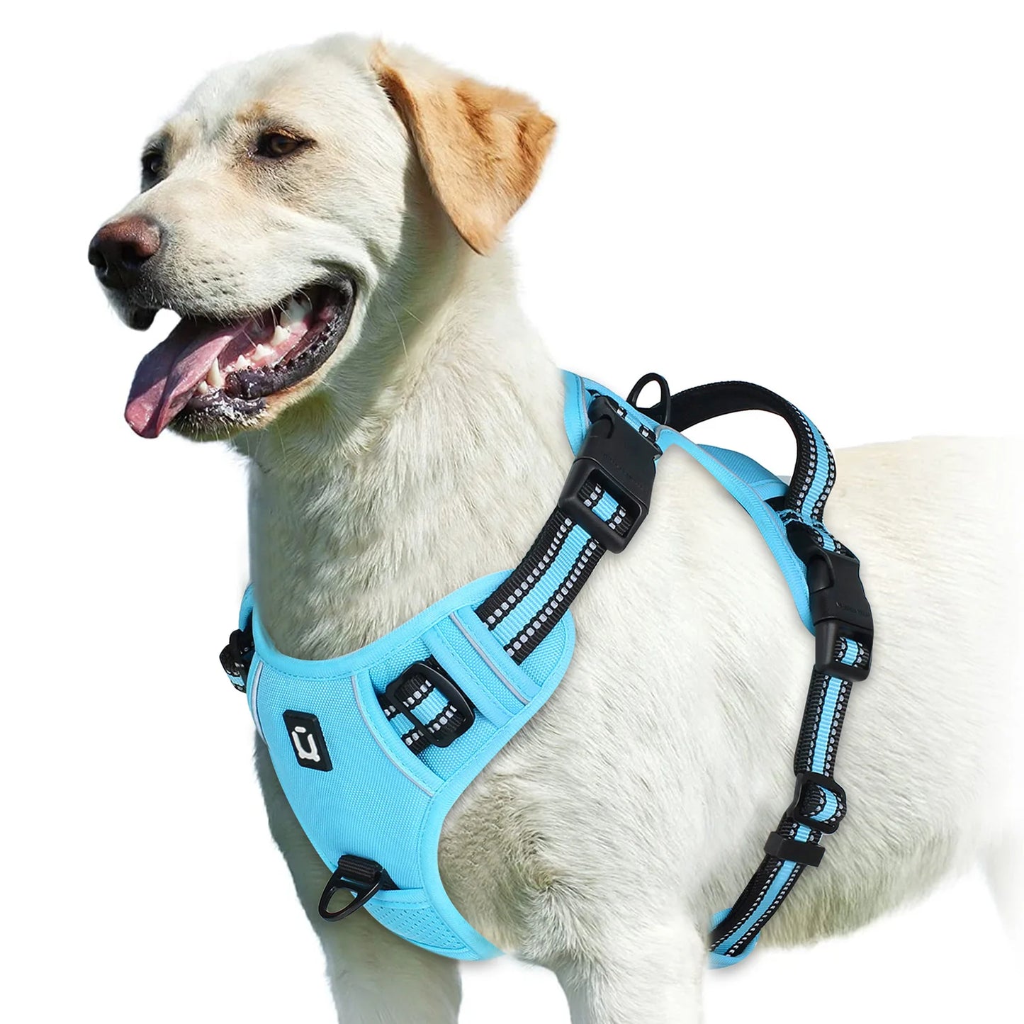 Harnais anti-traction pour chien Confort & contrôle ajustable