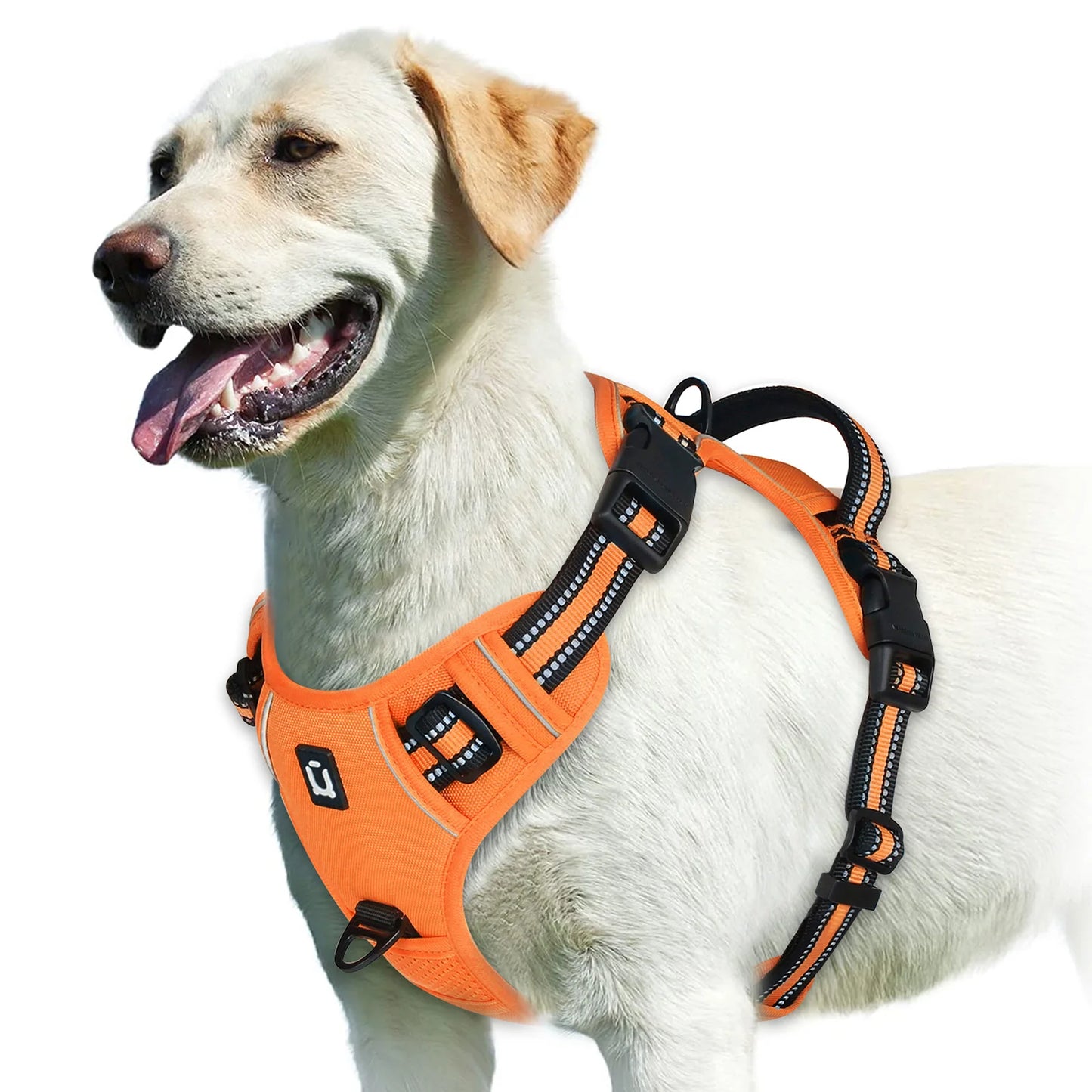Harnais anti-traction pour chien Confort & contrôle ajustable