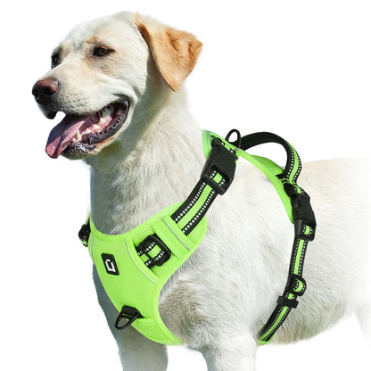 Harnais anti-traction pour chien Confort & contrôle ajustable