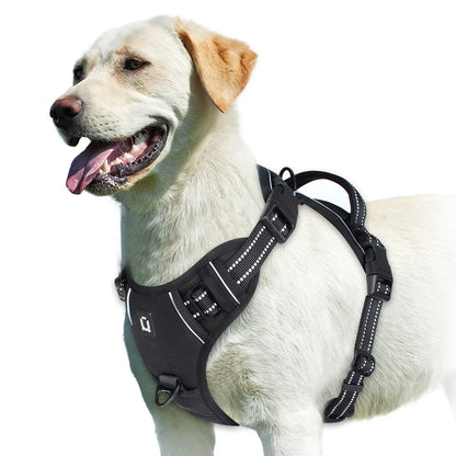 Harnais anti-traction pour chien Confort & contrôle ajustable