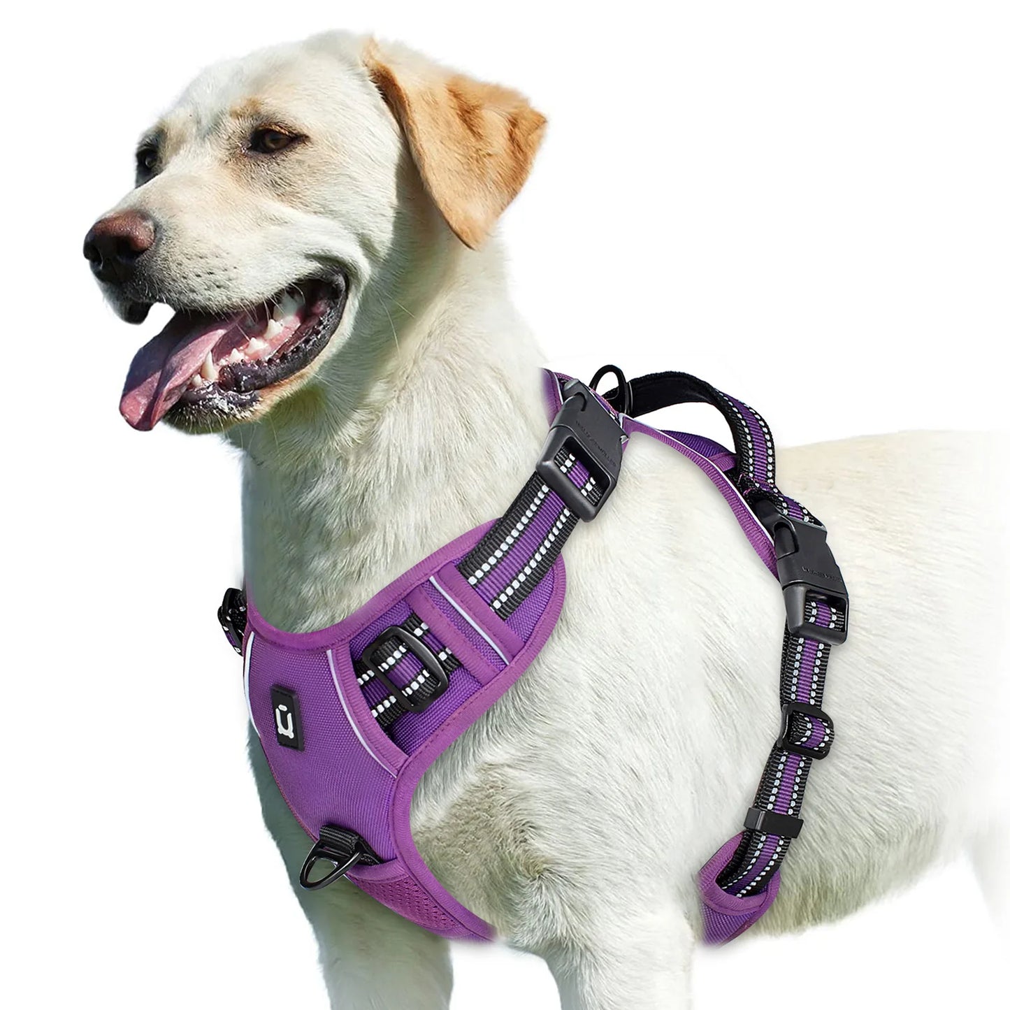Harnais anti-traction pour chien Confort & contrôle ajustable
