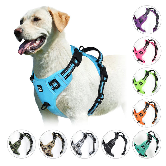 Harnais anti-traction pour chien Confort & contrôle ajustable