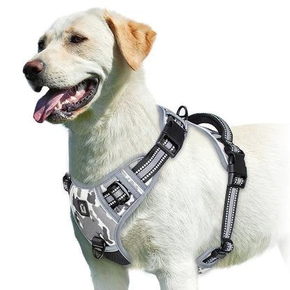 Harnais anti-traction pour chien Confort & contrôle ajustable